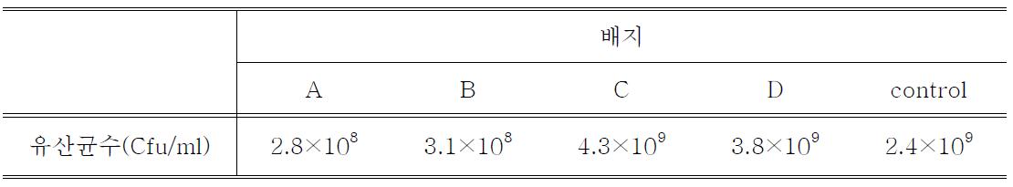 유산균 배양 결과
