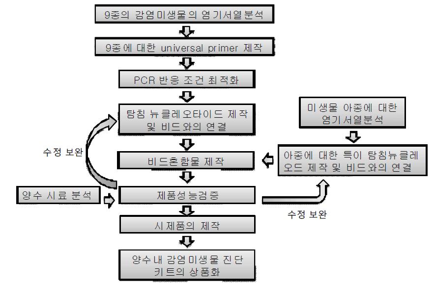 9종 위험 미생물종 증폭 Totalplex 과정도.