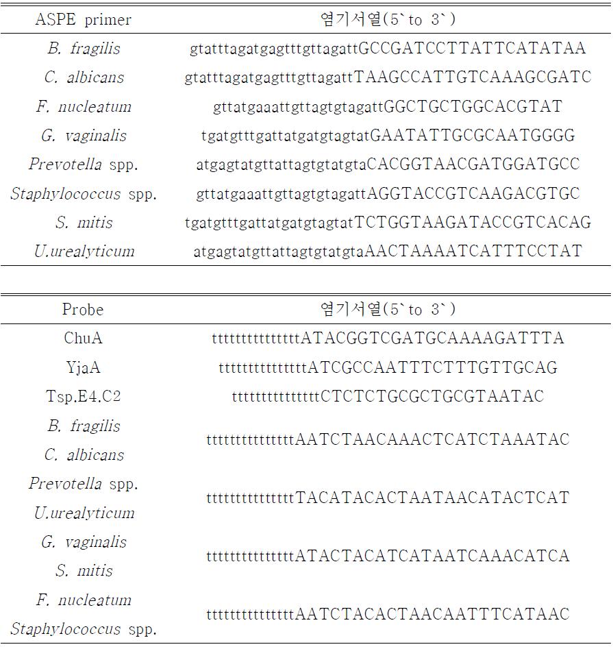 E. coli phylogenetic grouping과 8가지 균주 검출에 사용된 specific probe 및 ASPE primer의 sequence.