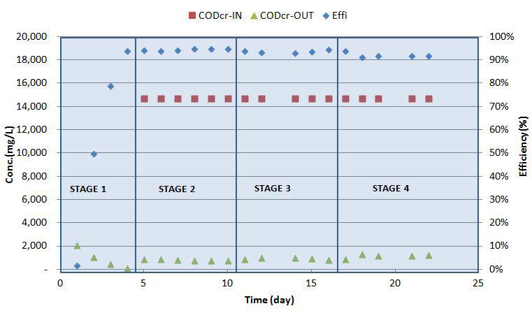 실험기간동안의 유입/유출수의 CODcr 값과 효율