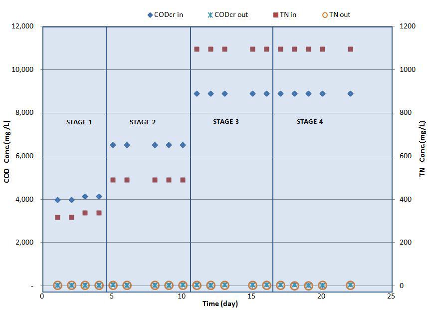 실험기간동안 유입/유출수의 COD값과 TN 값