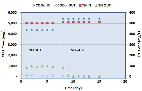 실험기간동안 유입/유출수의 COD와 TN 농도변화