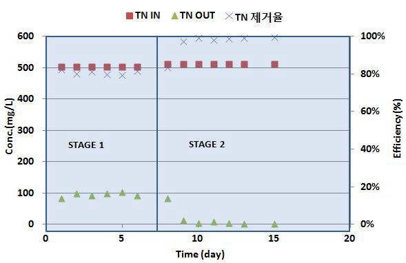 실험기간동안 유입/유출수의 TN 농도 및 제거효율