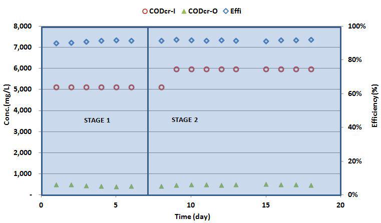 실험기간동안 유입/유출수의 COD값과 유기물제거효율
