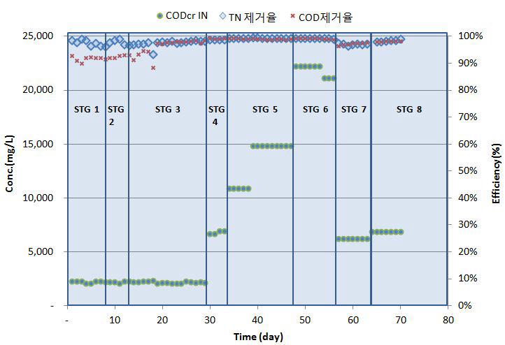 실험기간동안 유입 유기물 농도와 COD 및 TN 제거율