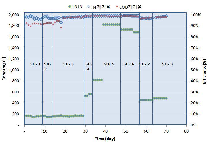 실험기간동안 유입 TN 농도와 COD 및 TN 제거율