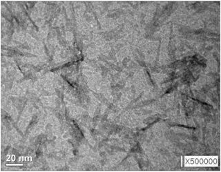 CH3COOH 0.1M로 합성한 알루미나 sol의 TEM 사진