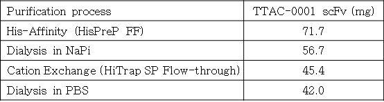 TTAC-0001 ScFv 정제 단계별 수율