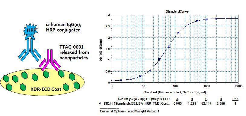 TTAC-0001 항체 검출을 위한 ELISA format (I) 과 Standard curve