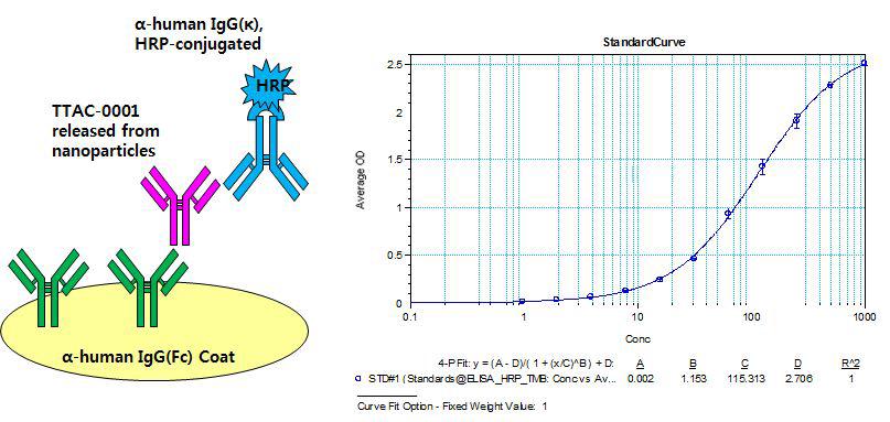 TTAC-0001 항체 검출을 위한 ELISA format (II) 과 Standard curve