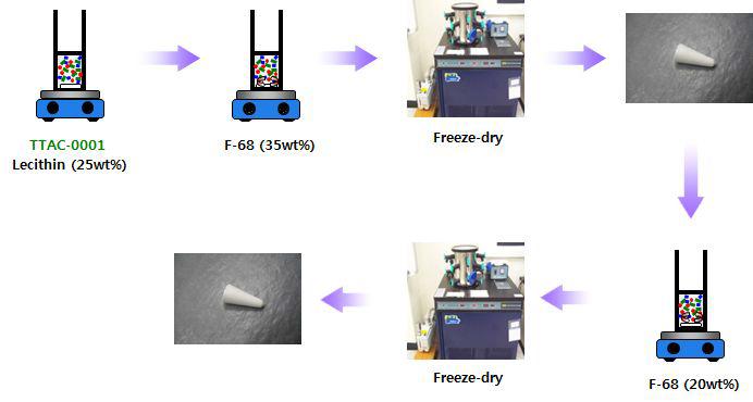 TTAC-0001/Pluronic nanoparticle 제조 방법 모식도