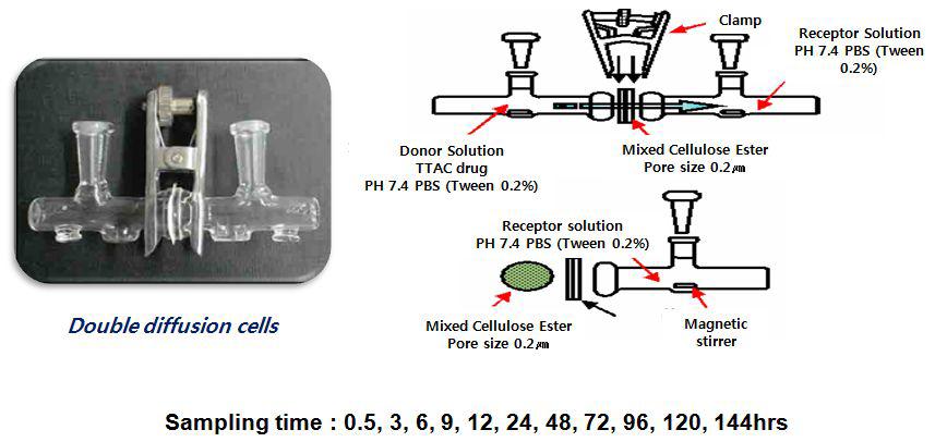 In vitro 방출량 측정을 위한 diffusion cell system