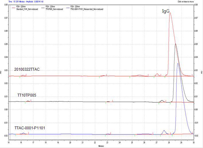 비환원된 TTAC-0001 배치에 대한 모세관전기영동(CE-SDS)분석