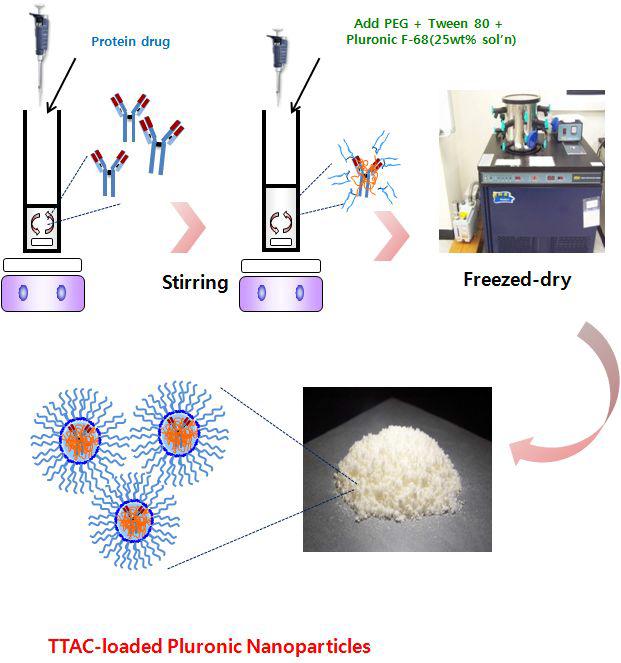 TTAC-0001 이 충진된 Pluronic 나노입자 융합 소재(형성) 과정