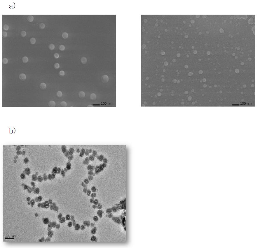 a) FE-SEM을 이용하여 관찰한 TTAC-0001이 충진된 Pluronic 나노입자의 morphology b)TEM을 이용하여 관찰한 TTAC-0001이 충진된 Pluronic 나노입자의 morphology