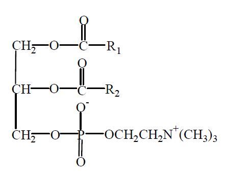 Lecithin의 화학구조식