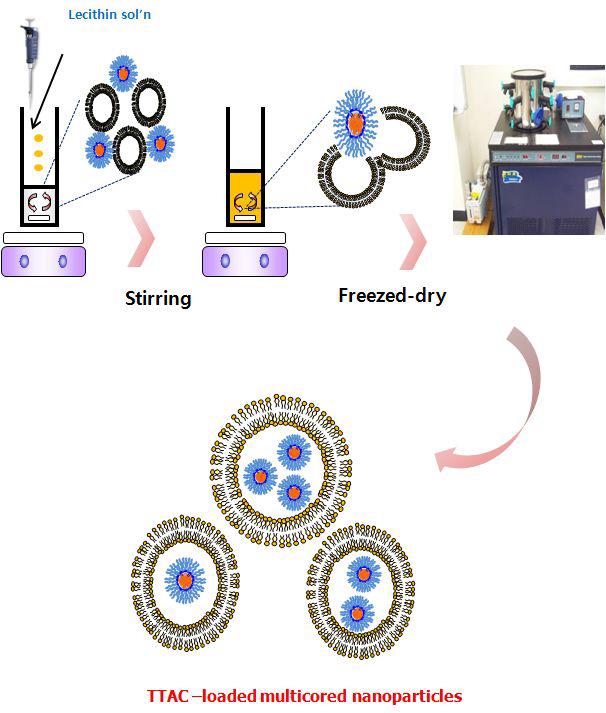 TTAC-0001이 충진된 다중구조 나노입자의 제조(형성) 과정
