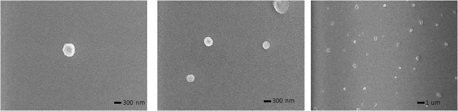 FE-SEM을 이용하여 관찰한 다중구조 나노입자의 morphology