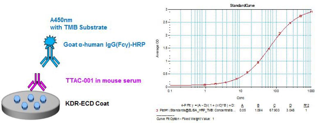 Mouse serum 내의 TTAC-0001 항체 검출을 위한 ELISA format 과 Standard curve