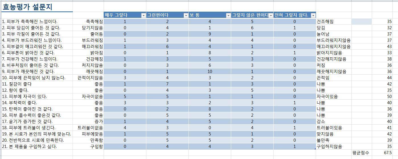 평가 설문지