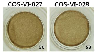 COS-VI-027, COS-VI-028을 처리한 각각의조직표면의 사진 (Day 14)