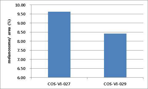 COS-VI-027, COS-VI-029을 처리한 각 조직단면의 멜라노좀 영역