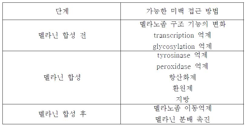 가능한 미백 접근 방법