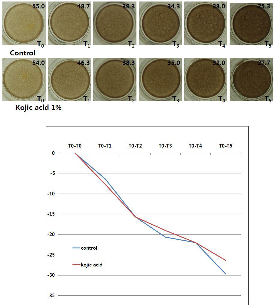 Control(D.W) & 1% kojic acid solution비교