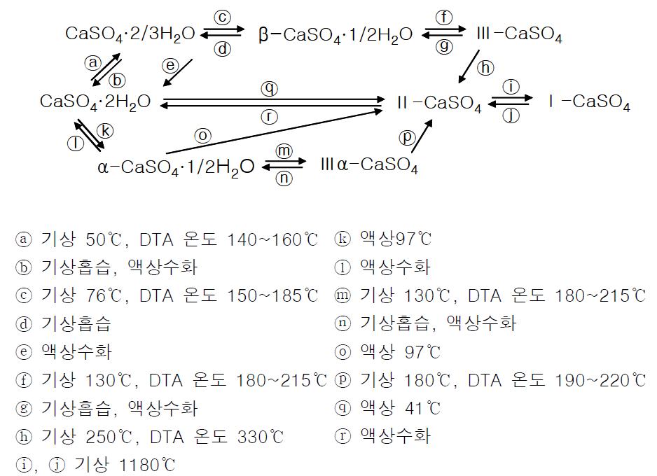 석고의 각형태별 상관관계 모식도