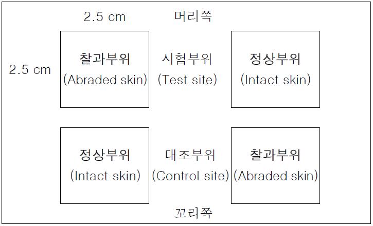 피부처치부위