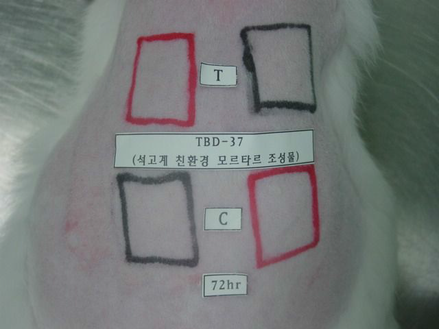 72시간 경과후 전경