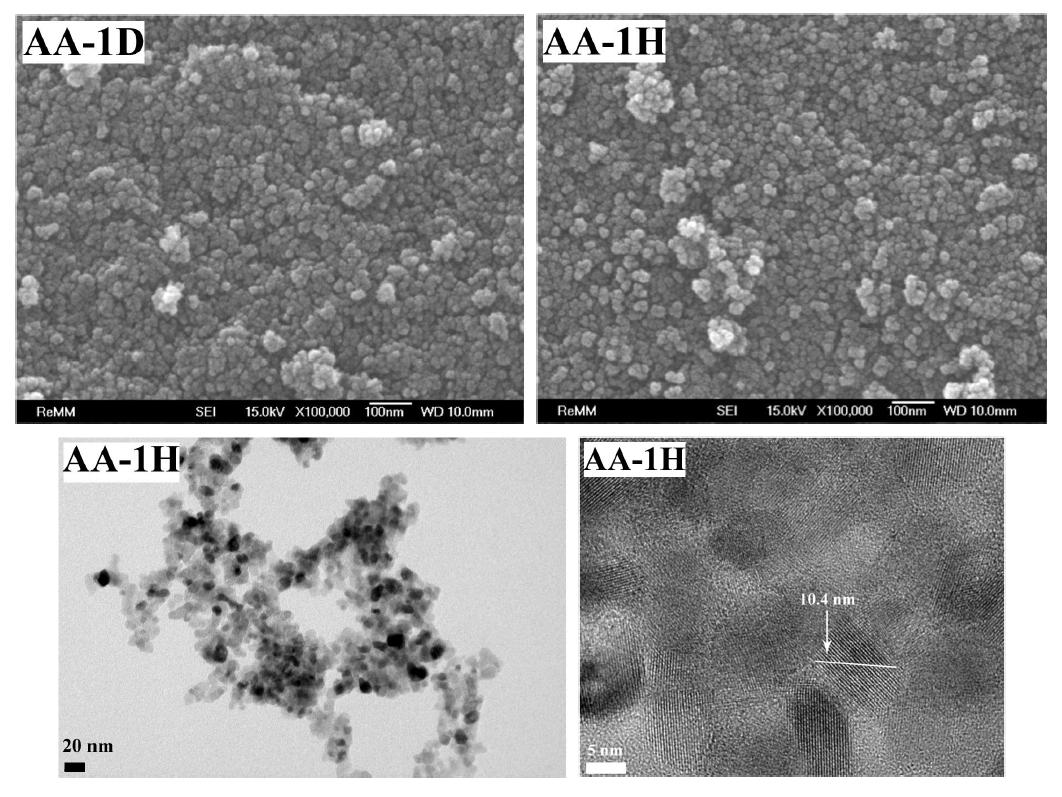 AA-1D와 AA-1H의 주사전자현미경사진과 투과전자현미경사진.