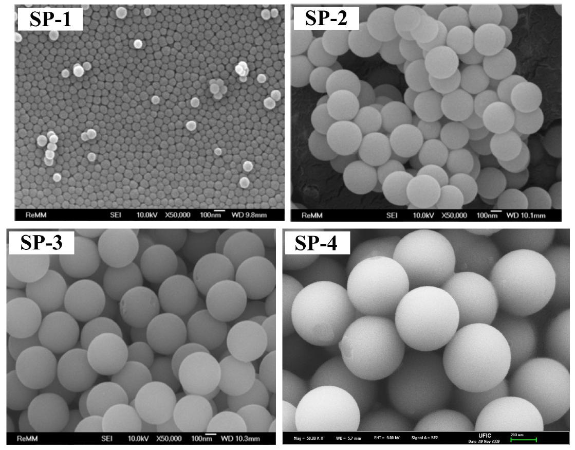 SP-1, SP-2, SP-3 및 SP-4의 주사전자현미경 사진.