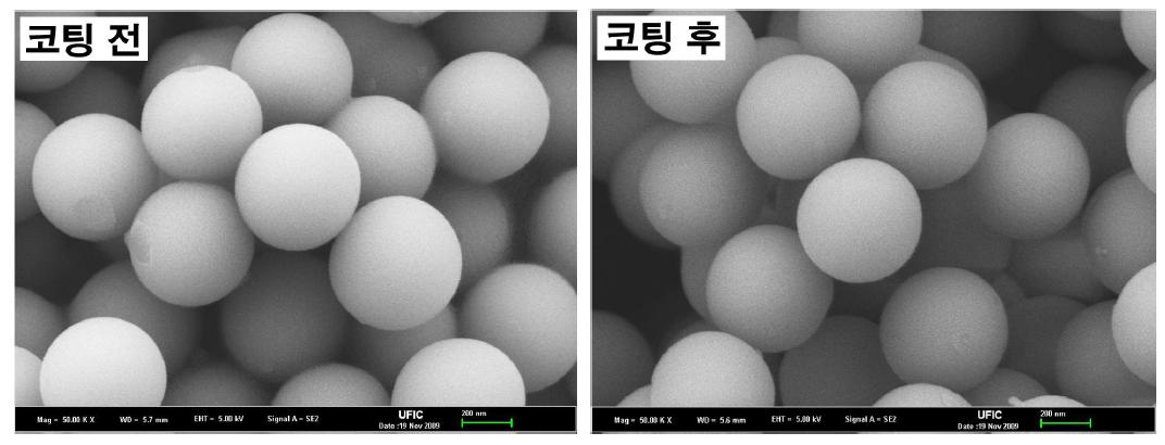 TiO2 전구 물질 코팅 전과 코팅 후의 주사전자현미경 사진.