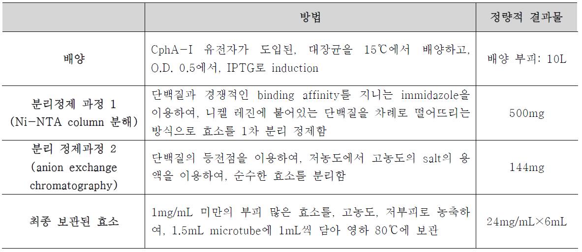 Hydroxyquinol 1,2-dioxygenase 효소 발현/분리정제 과정 및 정량적 결과물