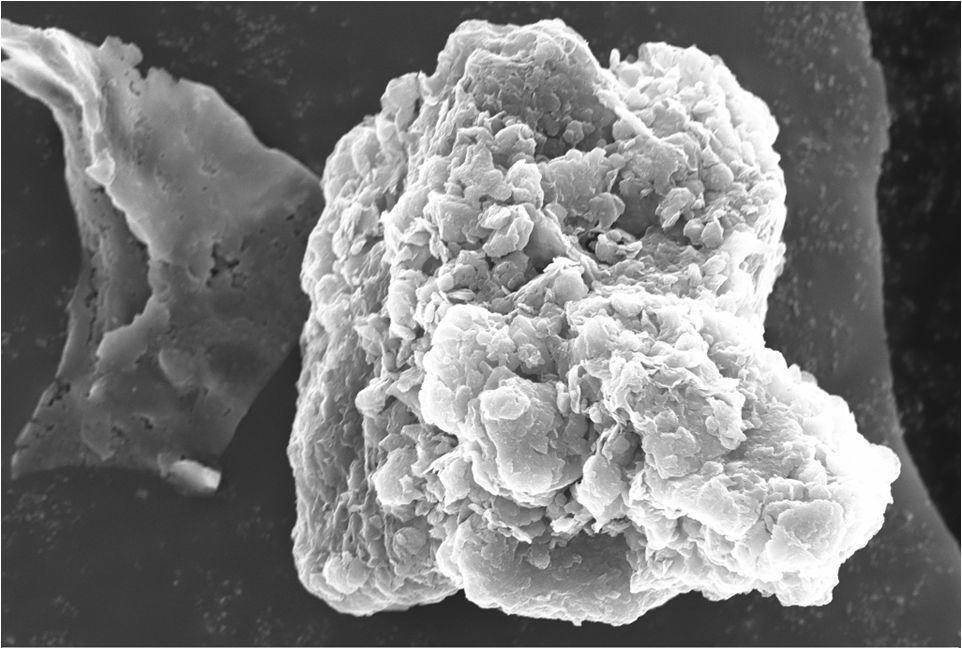 Fulvic acid 흡착 후 montmorillonite의 표면 분석(Mag. 3.72K X)