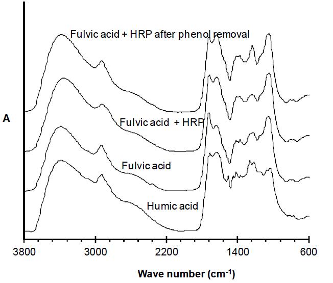 Montmorillonite에 흡착된 fulvic acid의 FT/IR 분석