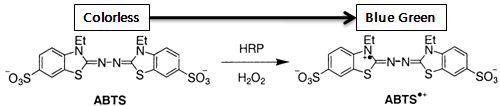 ABTS의 색 변화를 이용한 효소의 활성도 발현 메카니즘