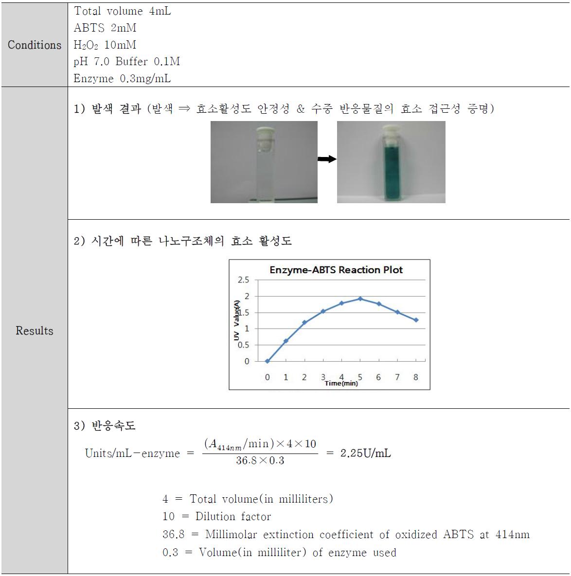 효소 활성 결과