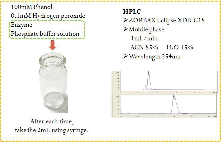 Polymerization 확인여부 분석 방법