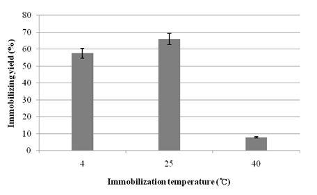 고정온도별 효소고정수율