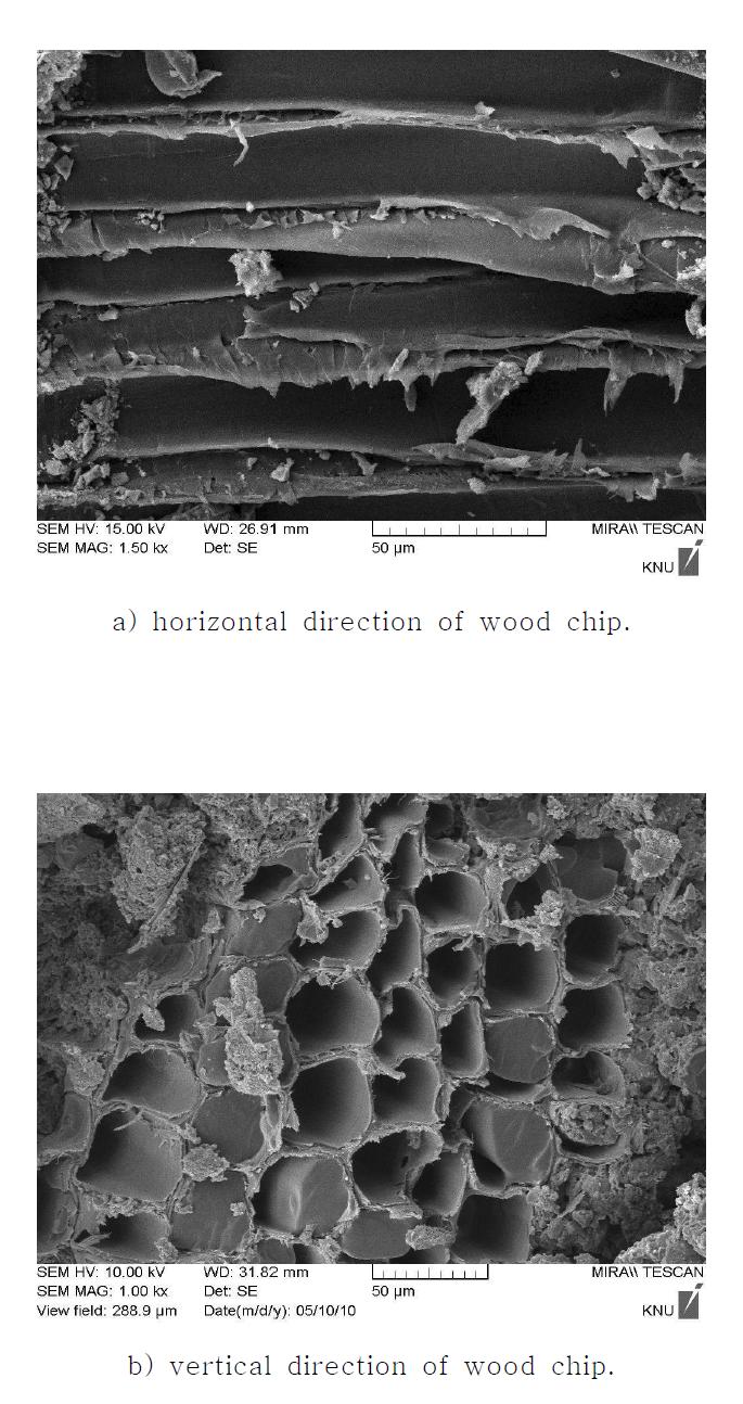 SEM micrographs of horizontal direction of wood chip.
