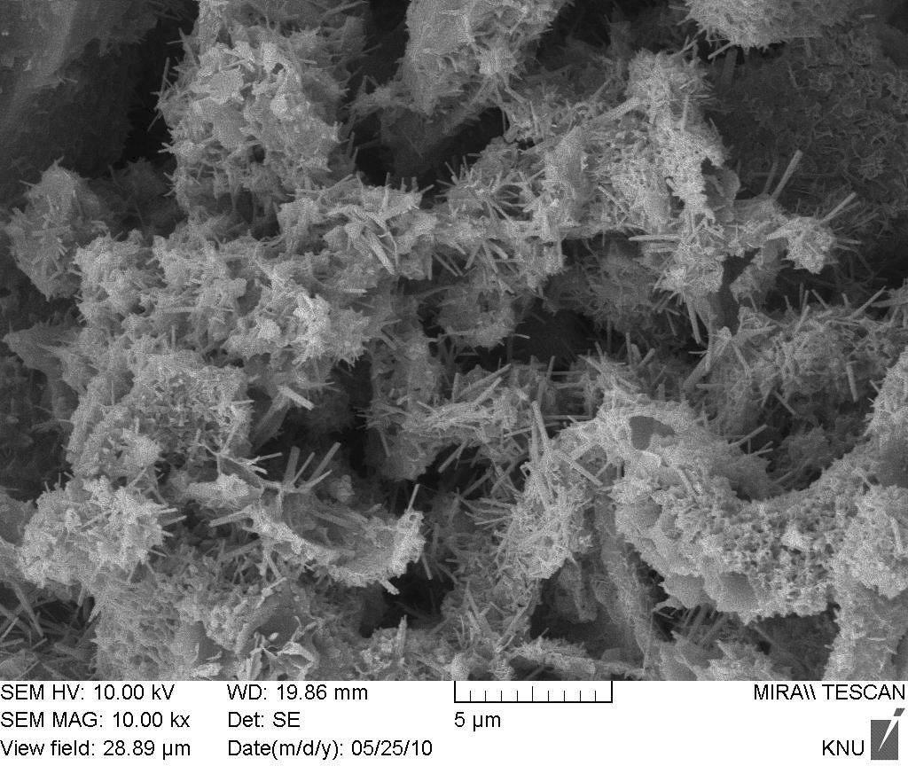 SEM micrographs of activated hwangtoh hydrate.