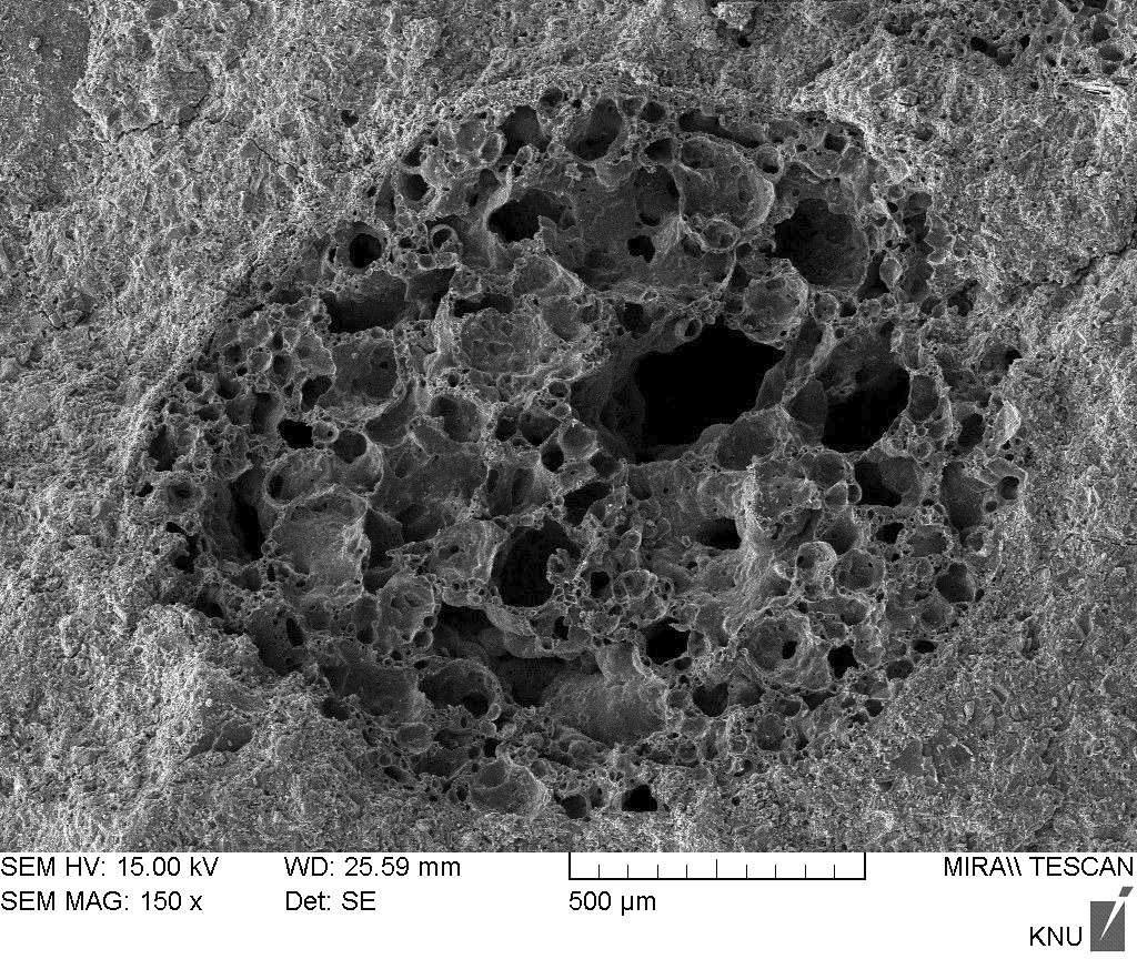 SEM micrographs of ceramic balls.