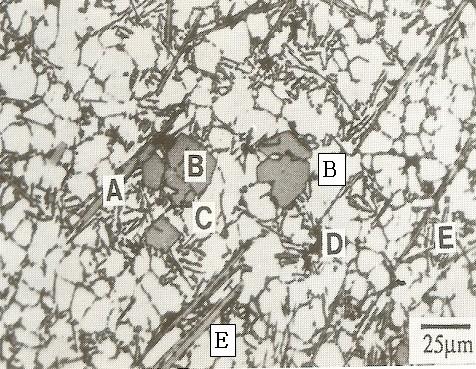 알루미늄합금의 금속간 화합물A, B: Sludge, D: Al2O3, E: AlFeSi