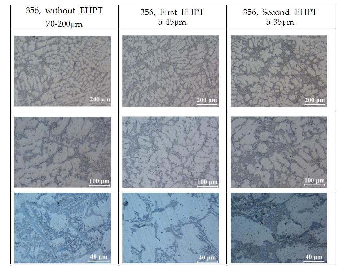 356합금에서 Double EHPT처리에 따른 미세조직 영향