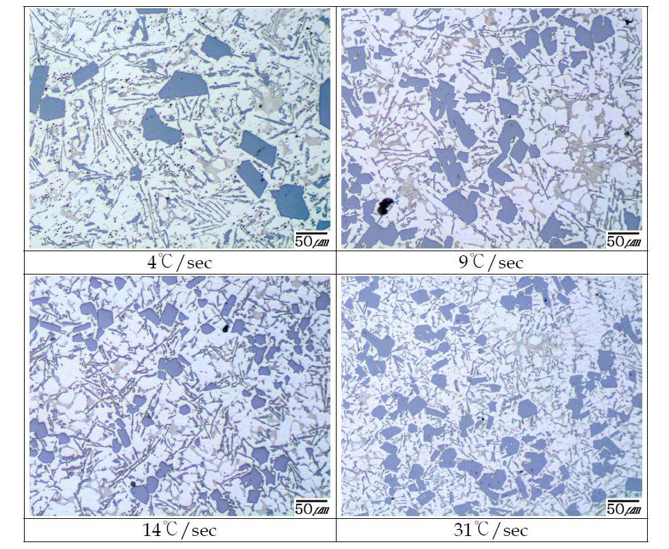 개량처리제를 이용한 390합금에서 초정 Si에 미치는 냉각 속도 영향