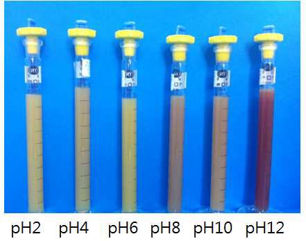 Appearance of various pH treatments of CoQ10-starch complex beverage