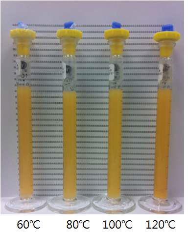 Appearance of various thermal treatments of CoQ10- starch complex beverage