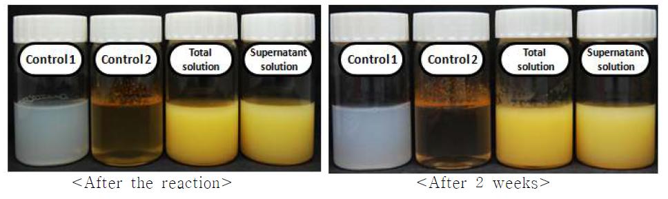 Controls and CoQ10-starch dispersions after the reaction and 2 weeks